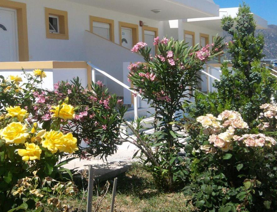 Nikos 2 Studios & Apartments Kardamena  Room photo